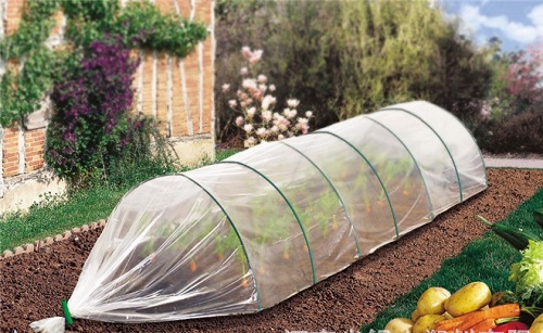 1597200945187571.jpg 大棚膜2.jpg