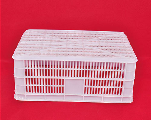 1610092000199267.jpg 水果筐增白劑.jpg