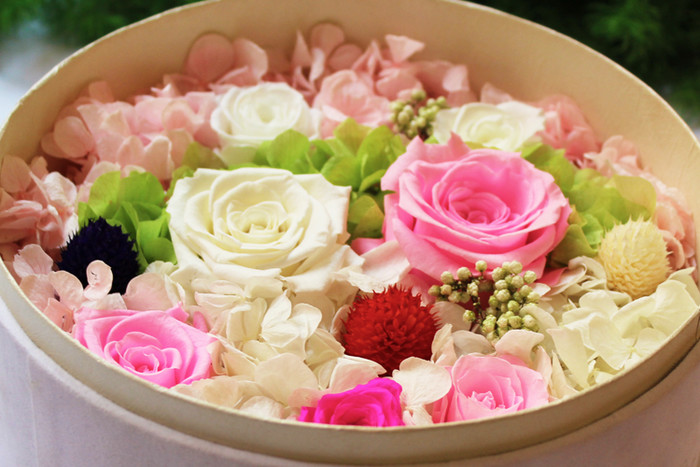 1743059809726313.jpg 1743059809726313.jpg